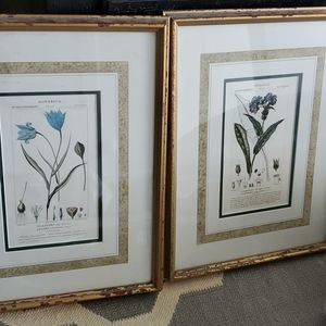 Framed Art prints